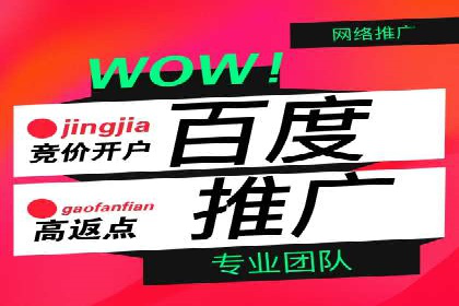 SEM代运营机构案例分析：优化策略详解