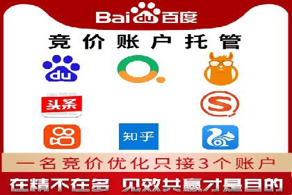 SEM推广代运营公司成功案例解析